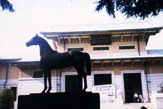 Yuushu-kan(Kudan, Tokyo). Statue of the horse was the only memory Shihan had of Eyi Priest taking him along to Token Kai at Yuushu-kan. He was four years old.